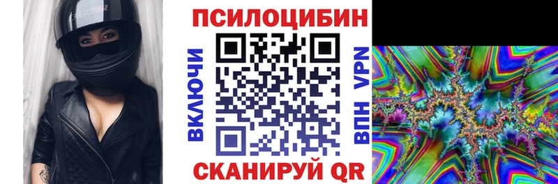 Псилоцибиновые грибы мицелий  Купить  Славянск-на-Кубани 
